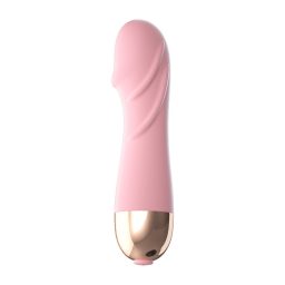 Laile Wanita Vibrator Mini Getaran Pelbagai Kelajuan