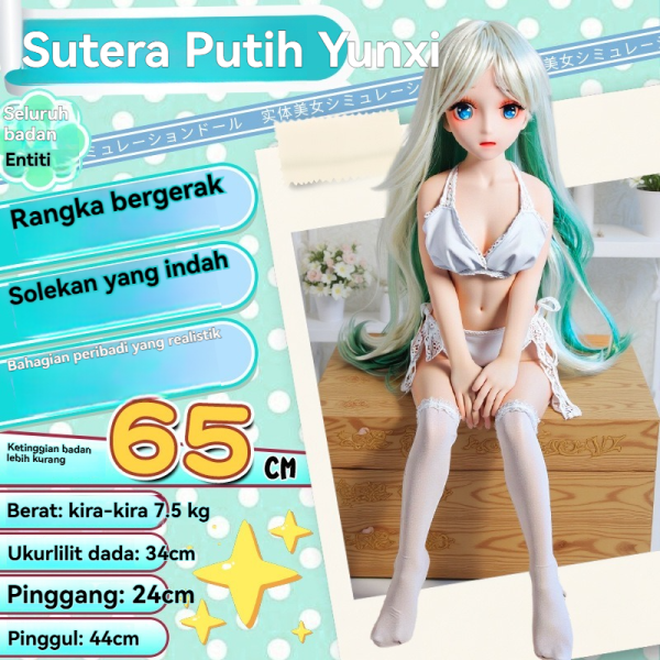 6 6